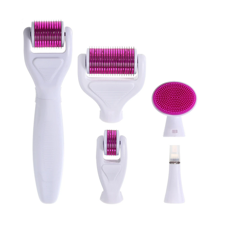 5 different attachment heads of Derma Roller 6-in-1 Kit